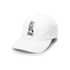 Volcom Stone Wonder Dad Cap